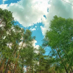 объект отдыха База отдыха  (Выползово, Рязанская область) фото 2