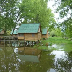База Отдыха: район Кировский (id 5000)
