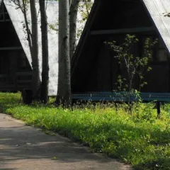 объект отдыха База отдыха «Электрон»  (Тольятти, Самарская область) фото 4