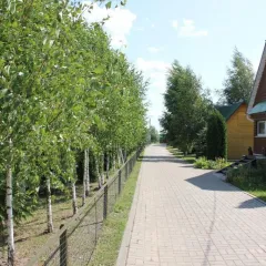 объект отдыха База отдыха «Лукоморье»  (Брянская область, Павловичи, ул. Озерная, д. 20), тел: +79009305725