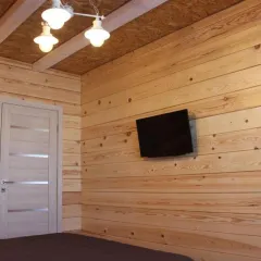 объект отдыха Дом для отпуска Comfort  (Белокуриха, Алтайский край) фото 4