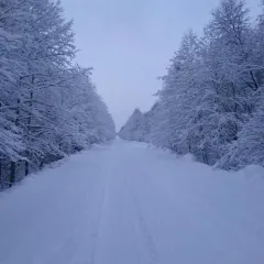 объект отдыха База Отдыха  (Ратислово, Ярославская область) фото 3