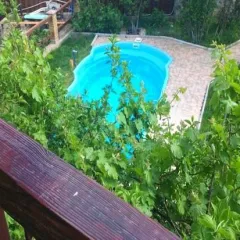 объект отдыха Гостевой дом Виноград Кореиз  (Кореиз, Крым) фото 4