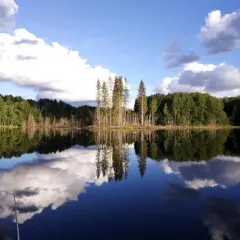 объект отдыха Уютный лодж «В Торопце»  (Торопец, Тверская область) фото 2