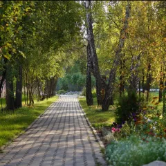 объект отдыха Санаторий «Колос»  (Омск, Омская область) фото 3