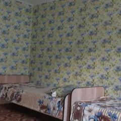 объект отдыха Гостевой дом  (Соль-Илецк, Оренбургская область) фото 2