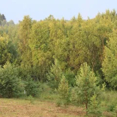 объект отдыха Гостевой дом «В Кириллове»  (Кириллов, Вологодская область) фото 2