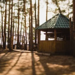 объект отдыха База отдыха «Разгуляй»  (Семикинский Лесоучасток, Тамбовская область) фото 3