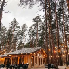 Дачи: район Новосибирск (id 5968)