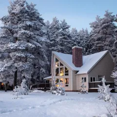объект отдыха База Отдыха  (Рыбинск, Ярославская область) фото 2