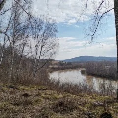 объект отдыха «Собачий камень»  (Кинтереп, Новосибирская область) фото 4